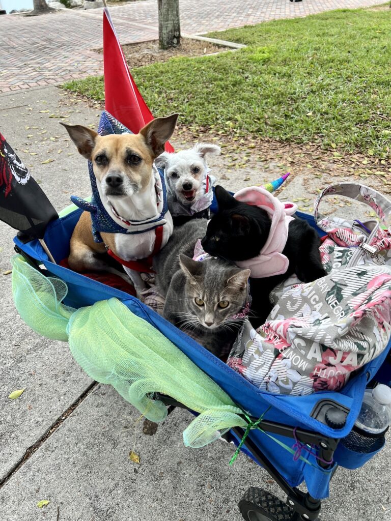 Dogs & Cats visiting the mermaids at the 2022 Treasure Coast Pirate Festival