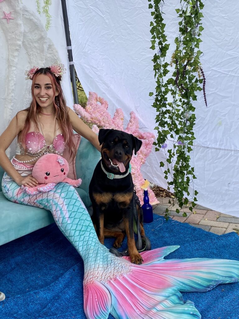 2022 Treasure Coast Pirate Festival dogs love the mermaids!