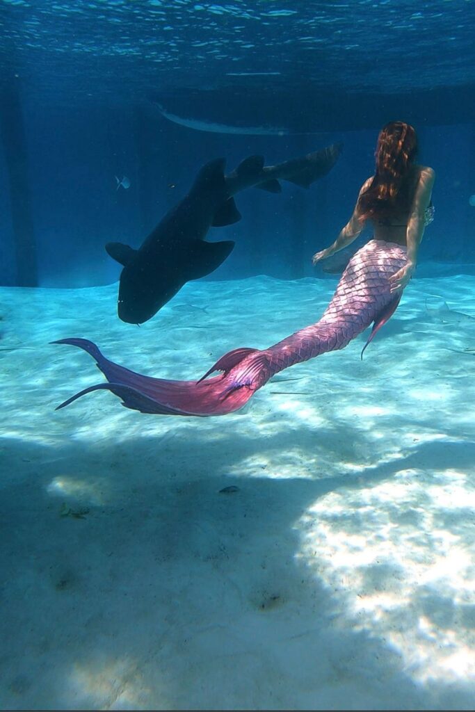 Mermaid Jules swims with sharks on Bahamas boat tour