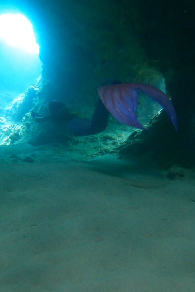Thunderball grotto mermaid - bahamas boat tour