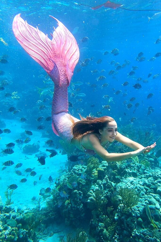 Mermaid Jules swims amongst the fish at the Bahamas Land & Sea Park Sea Aquarium
