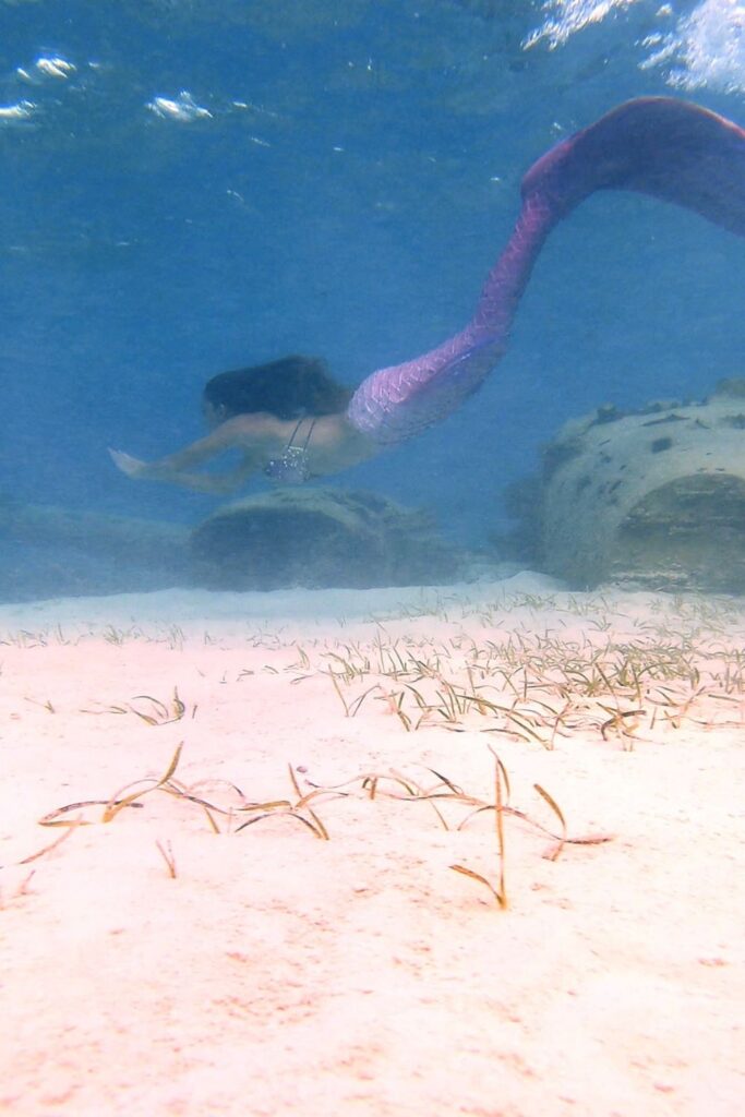 mermaid snorkel pablo escobars sunken plane - bahamas boat tour