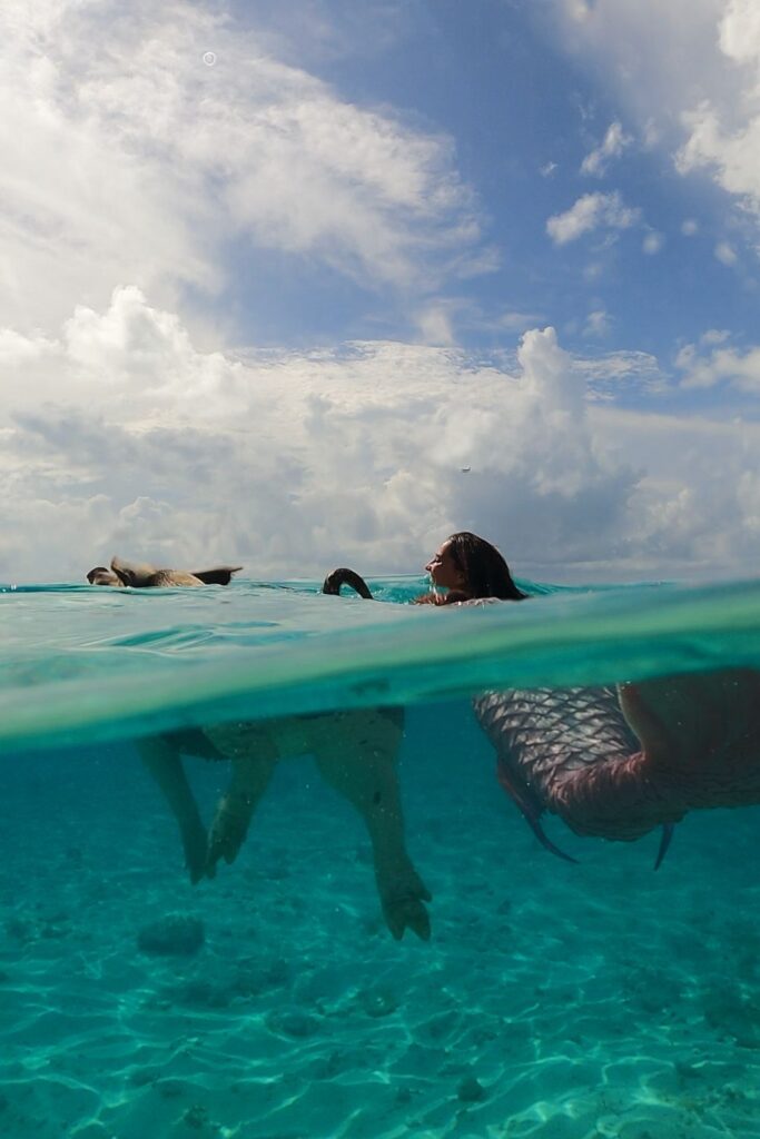 Mermaid Jules swims with pigs on bahamas boat tour