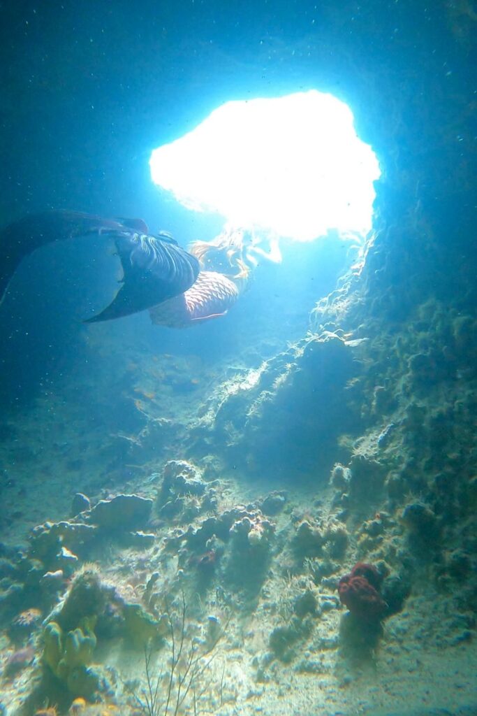 Thunderball Grotto Little mermaid live action Bahamas