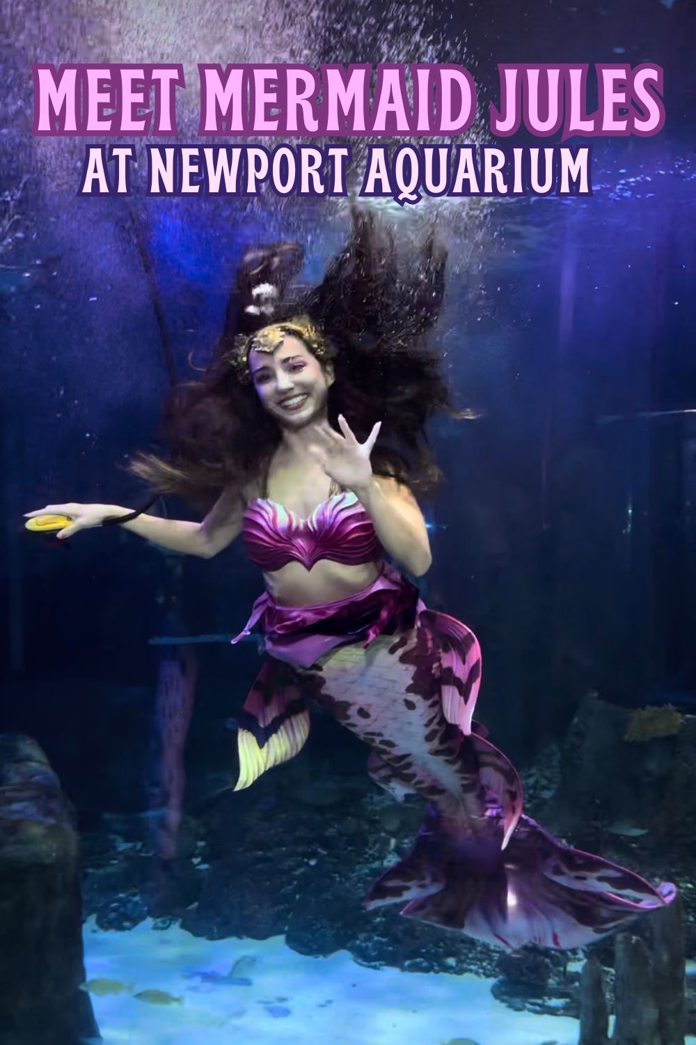 Meet Mermaid Jules at Newport Aquarium