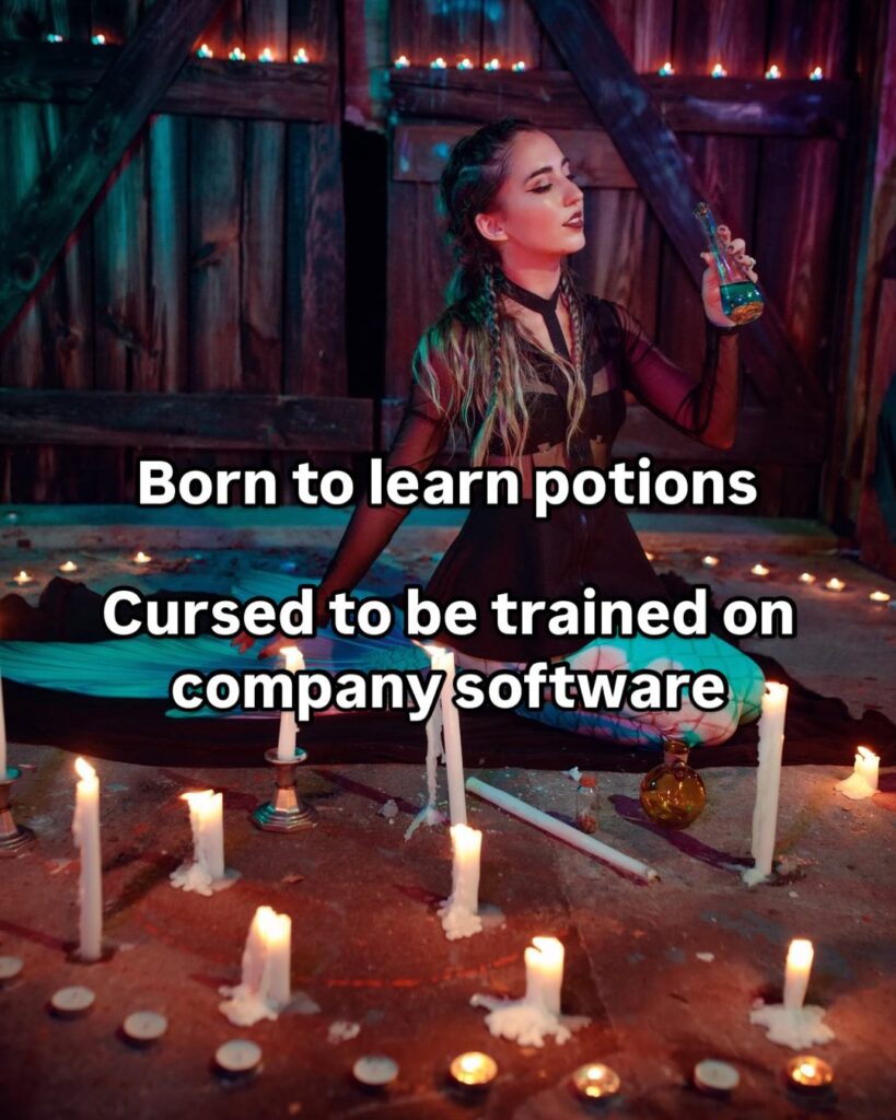 mermaid-meme-office-humor-born-to-be-magical Born to learn potions, cursed to be trained on company software. Mermaid Meme / Office Humor