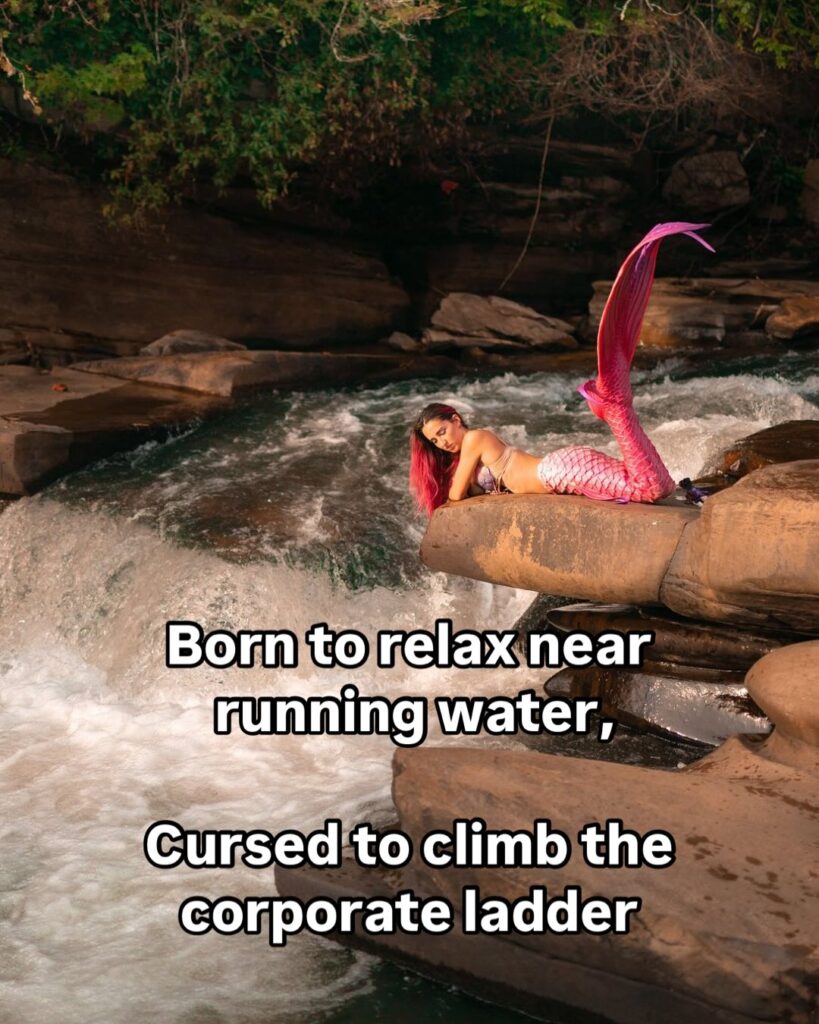 mermaid-office-humor-memes-born-to-cursed-to-climb-corporate-ladder