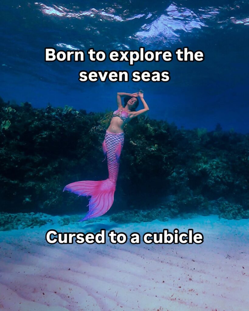 office-humor-mermaid-memes-cursed-to-a-cubicle